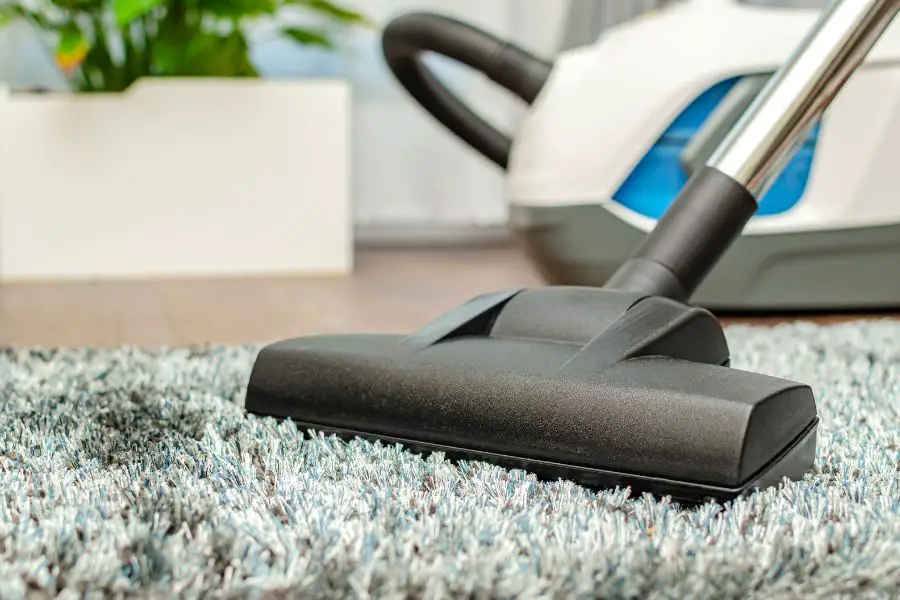 Picture of vacuuming high pile carpet